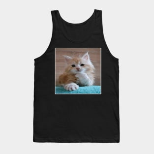 What Happened cat Tank Top